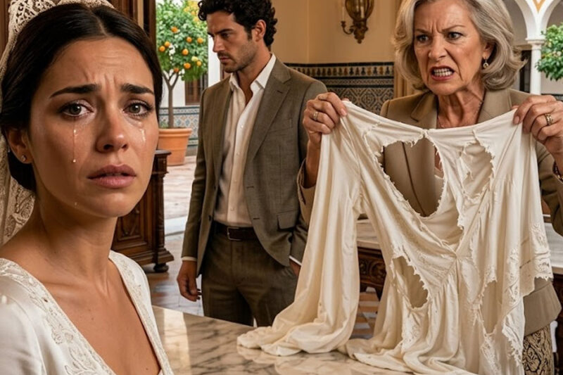 Tu suegra te rompió el vestido y dijo que su hijo había pagado todo; a la mañana siguiente, descubrió que tú eras dueña de la casa, la empresa y toda su vida falsa.