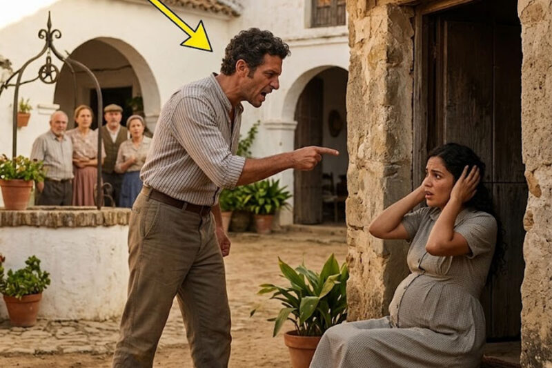 Obliga a su esposa embarazada a dormir en un cobertizo para perros, sin saber que es hija de un rico director ejecutivo…