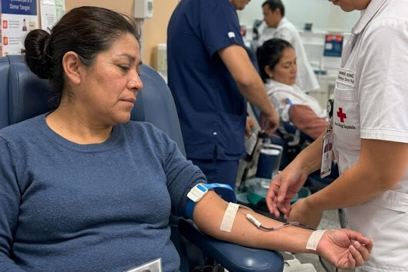 Alma no supo si el sonido venía de la puerta o de su propia sangre. El camillero se quedó tieso.
